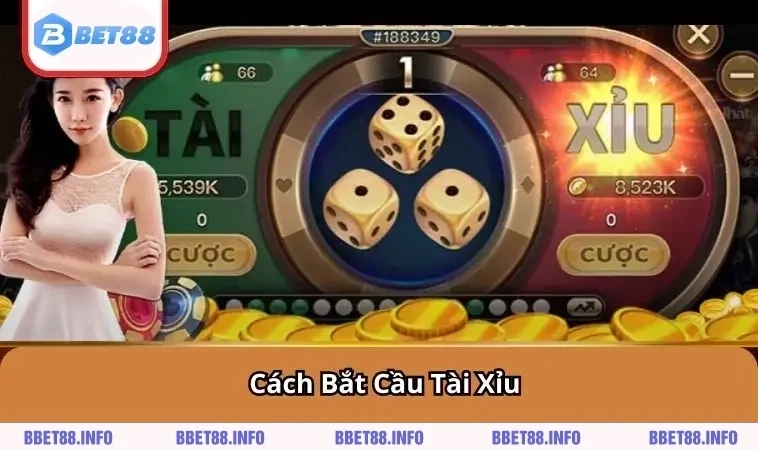 cach-bat-cau-tai-xiu