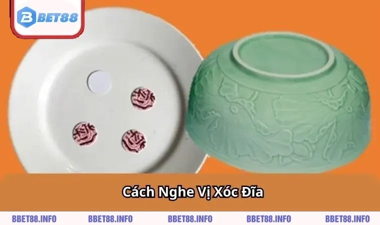 cach-nghe-vi-xoc-dia