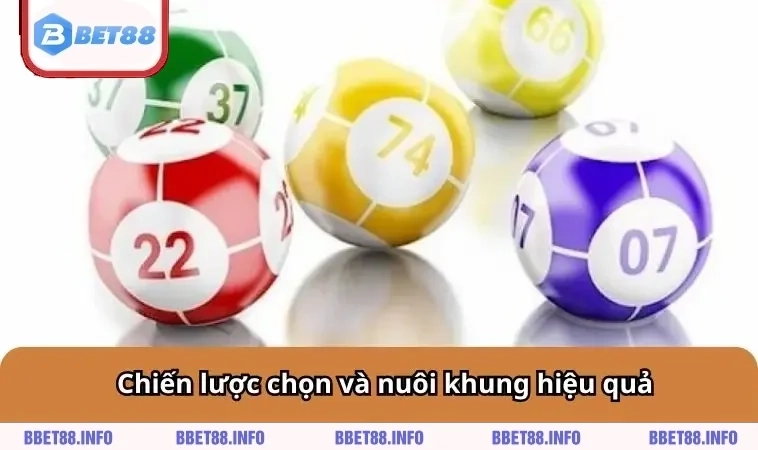 Chiến lược chọn và nuôi khung hiệu quả