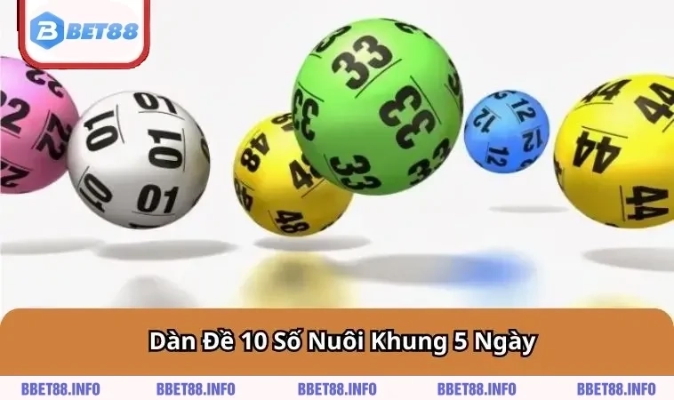 dan-de-10-so-nuoi-khung-5-ngay
